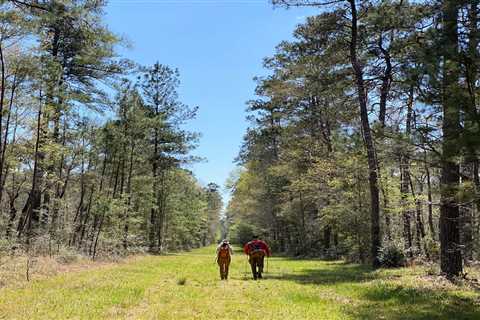 200,000 Steps on the Lone Star Hiking Trail