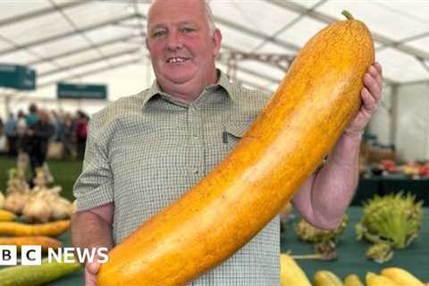 Barry Man grows the heaviest cucumber in the world