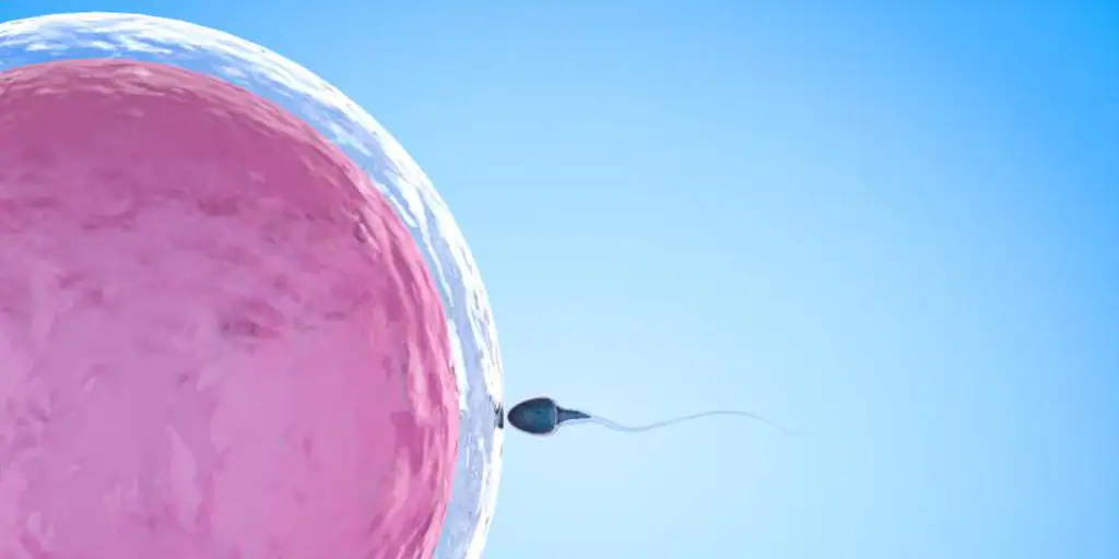 Why some men don’t produce sperm? – •