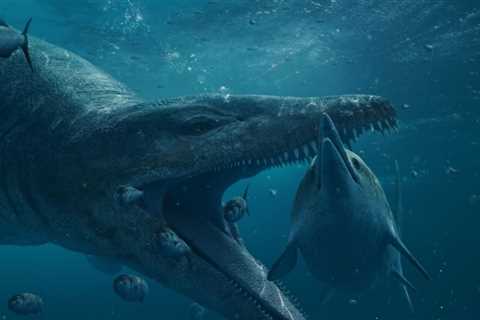 Pliosaur Skull Dating Back 150 Million Years May Be A New-To-Science Species