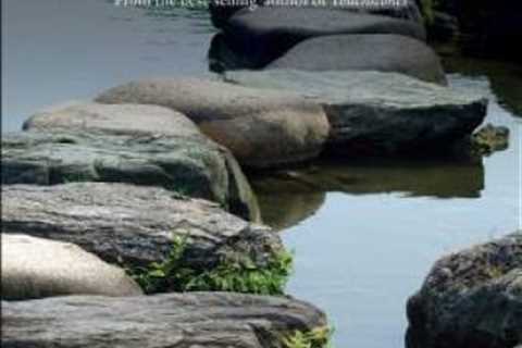 Stepping Stones: More Daily Meditations for Men from the Best-Selling Aut - GOOD