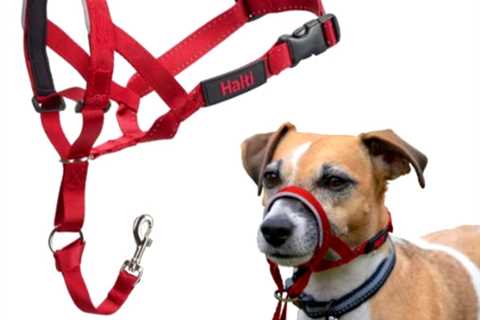 HALTI Headcollar Size 1 / Red, Best selling Dog Head Harness to Stop, No Pull