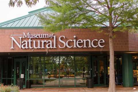 Mississippi Museum of Natural Science announces summer camps for youth