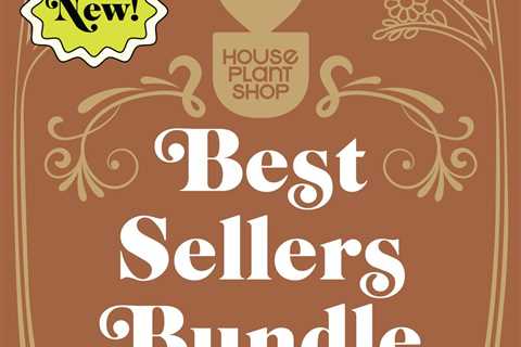 Best Selling Bundle