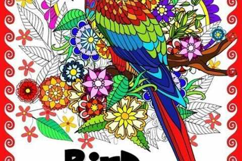 Bird Paradise Colouring Book: Coloring Pages for Adults