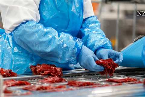 What the Bell boss expects when it comes to meat substitutes and laboratory meat – •