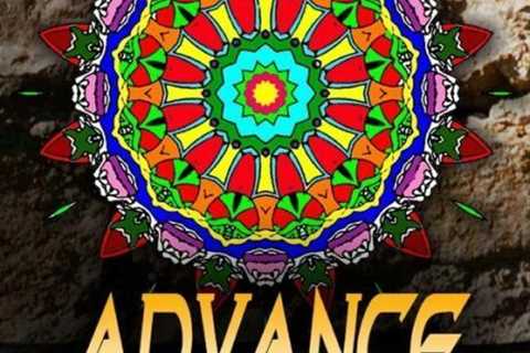 Advanced Coloring Books For Adults - Vol 19: Adult Coloring Books Best Sell...