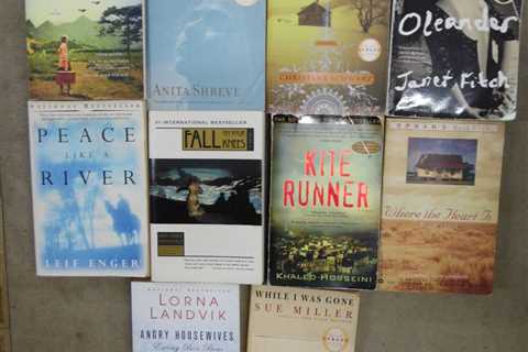 Lot of 10 Best Selling Author Fiction Oprah Large Trade Paperback Books