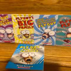 Fly Guy New York Times Best Selling Series Lot of 5  by Tedd Arnold BIN $3.00