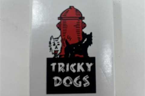 Magnetic Tricky Dog Scotty Best Selling Novelty of All Time!