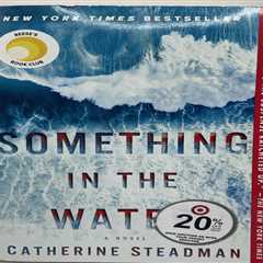 Something in the Water: A Novel Large Paperback Catherine Steadman NY Best Sell