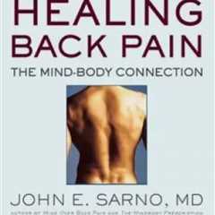 HEALING BACK PAIN brand new DR JOHN E SARNO NYT Best selling book FREE SHIPPING!