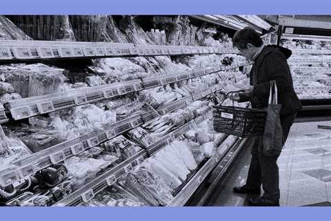 Lost in stagnation? Interpretation of the Japanese economy