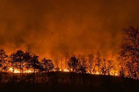 Almost Every El Niño Will Be Extreme In The Future, Climate Model Suggests
