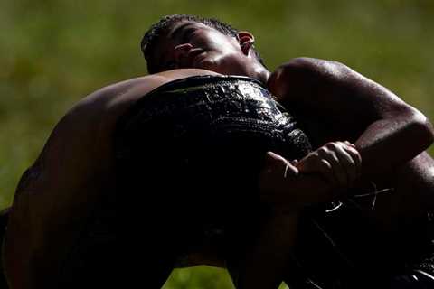 Photo gallery of the oil wrestling in Turkey | Headlines from around the world